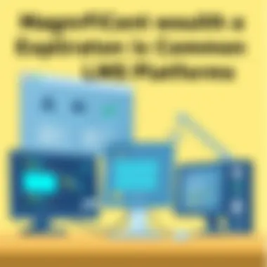 Magnificent An In-Depth Exploration of Common LMS Platforms Magnificent An In-Depth Exploration of Common LMS Platforms