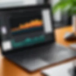 User interface of Adobe Rush showcasing editing tools