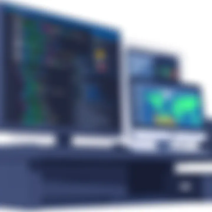 Comprehensive Analysis of Gym ERP Software Summary