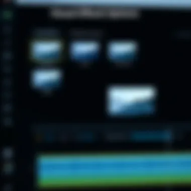 Visual Effects Options Visual effects options available in Movavi Video Editor Plus 20.0