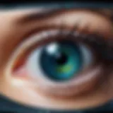 Advanced software interface showcasing optometry tools