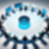 Dynamic team collaboration through software