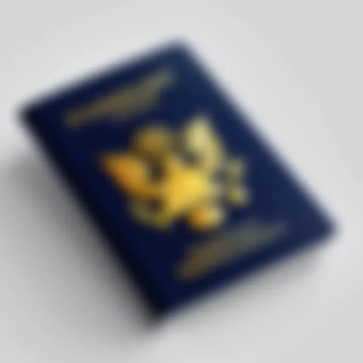 An infographic showcasing the benefits of passport apps