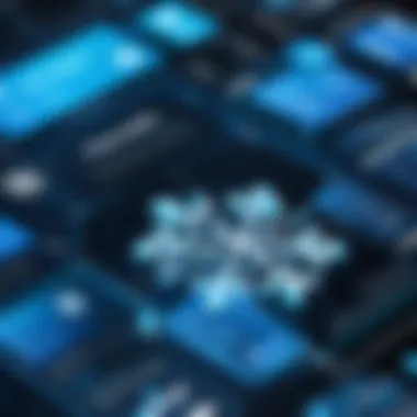 Case studies showcasing industry applications of Snowflake and NetSuite