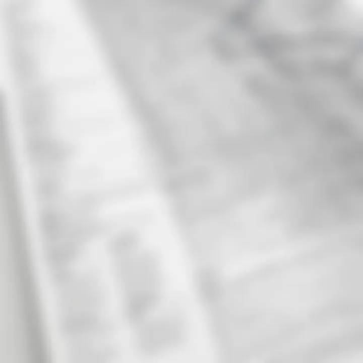 Detailed breakdown of Scribble Maps pricing tiers