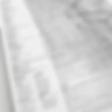 Understanding Pricing Tiers Detailed breakdown of Scribble Maps pricing tiers