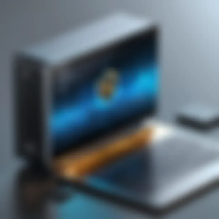 Security measures implemented in Resman online payment systems