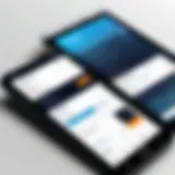 VoguePay payment interface showcasing user-friendly design